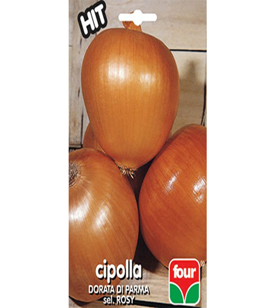 Cipolla dorata Parma Rosy