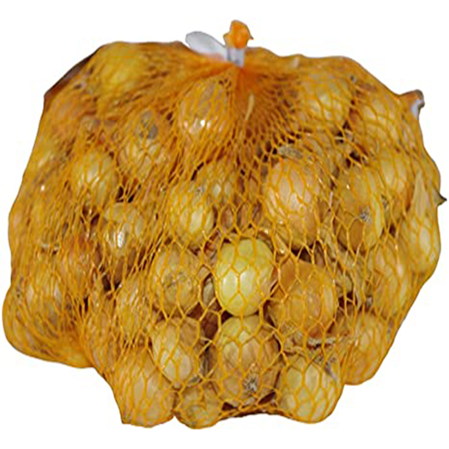 Cipolla Stoccarda 1kg bulbi