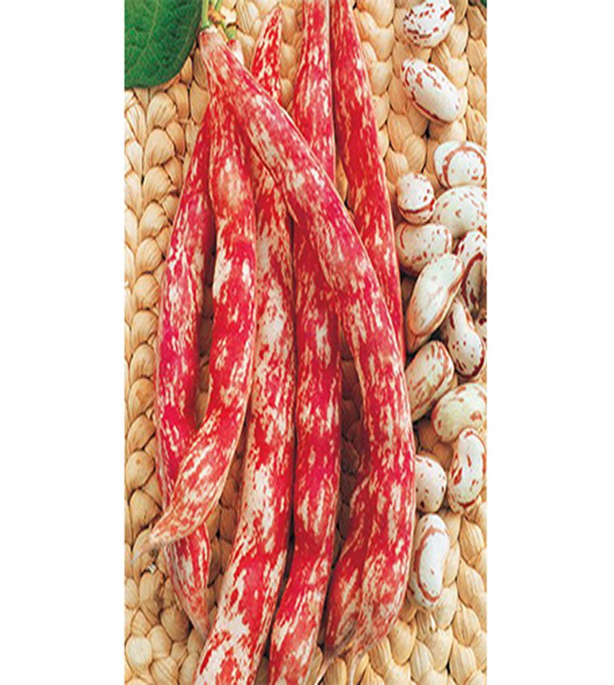 Fagiolo Borlotto Rossano 500g