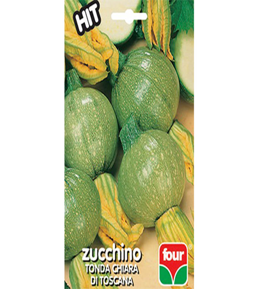 Zucchino Tonda Chiara di Toscana