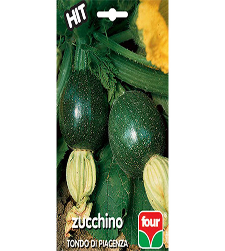 Zucchino Tondo di Piacenza (scuro)