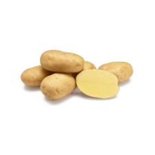Bulbi Patata Da Seme Agria 28-35 25kg