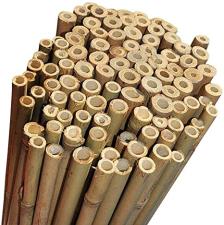 Canne Bamboo H240 24-26
