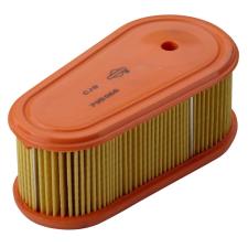 Filtro Aria Briggs&Stratton 795066
