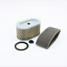 Filtro Aria Briggs&Stratton 797033