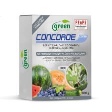 Fungicida Antioidico Sistemico Concorde Combi 500g