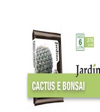 Terriccio Per Piante Grasse E Bonsai 5lt